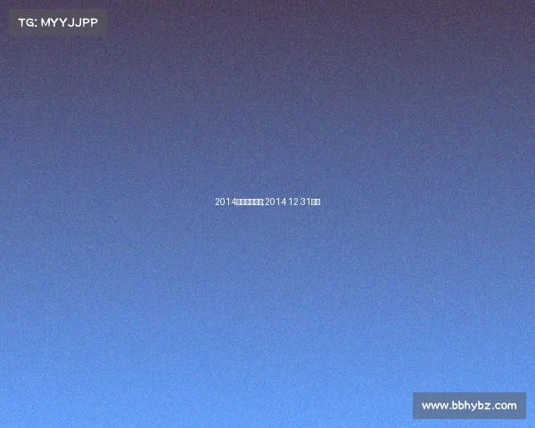 2014上海重大赛事;2014 12 31上海 2014上海重大赛事;2014 12 31上海