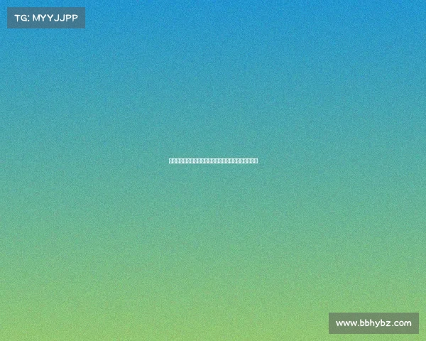 现代汽车驰骋全球赛事巅峰舞台展现速度激情与创新精神